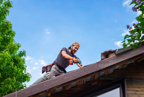 Best Metal Roofing Installation  in Joseph City, AZ